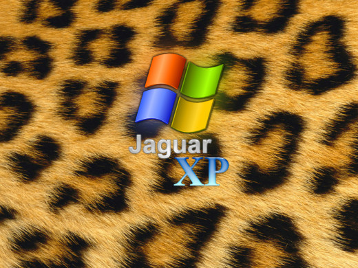 383512 (a): :1024x768